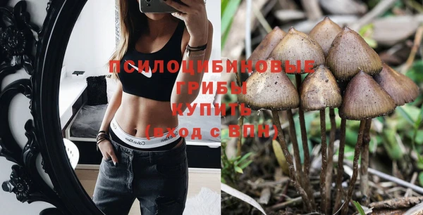 тгк Волоколамск