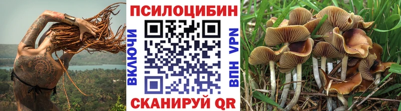 Галлюциногенные грибы Magic Shrooms  Заполярный 